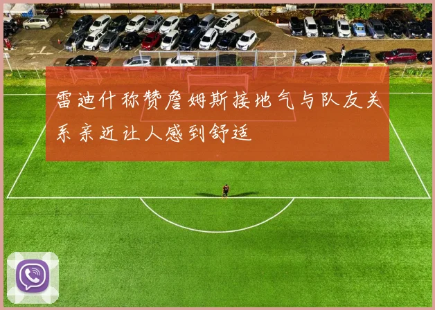 雷迪什称赞詹姆斯接地气与队友关系亲近让人感到舒适