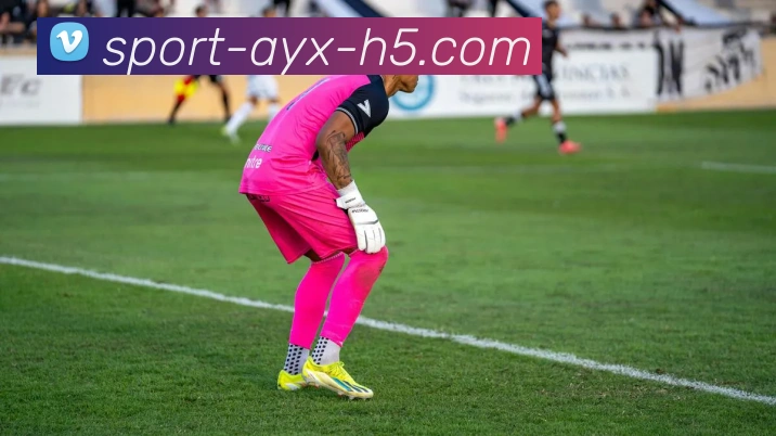 爱游戏平台生态图