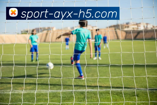 爱游戏APP 封面图